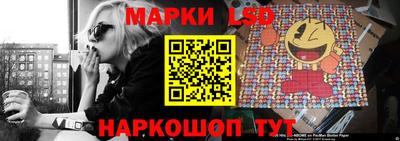 прущие грибы Можга